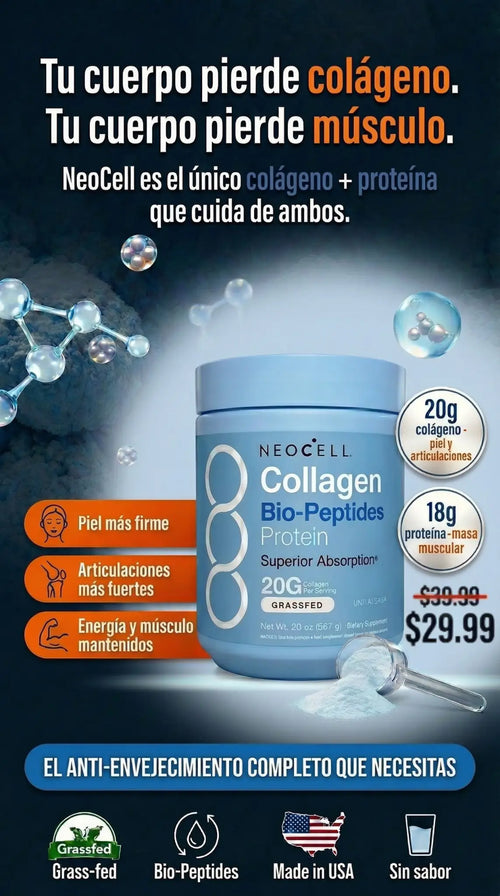 Producto